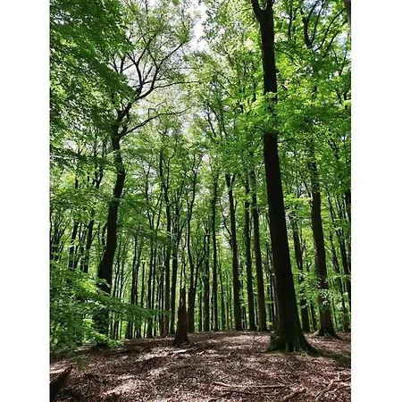 Am Hostertberg Comfortable Prázdninový dům *