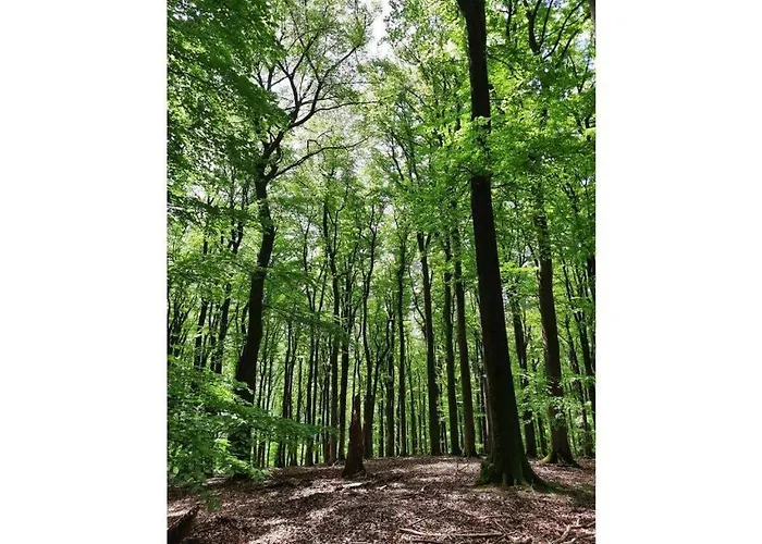 Am Hostertberg Comfortable Сasa de vacaciones *